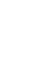 Festival Écran Vert